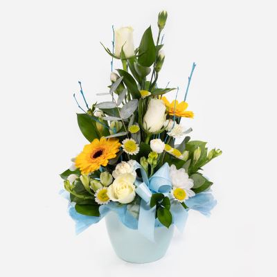 Baby Boy Pot  - A floral creation for the new addition, made up of blooms in shades of yellow and white.
